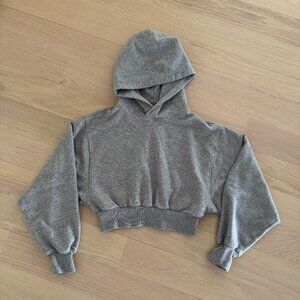 Aritzia The Constant Glider Hoodie (XS) in Heather Dover Grey